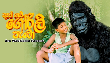 Ape Yalu Gorili Pancha
